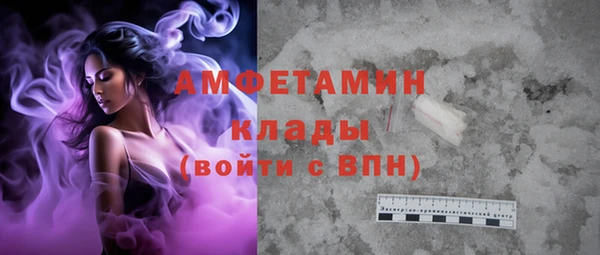 шишки Арсеньев