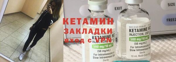 шишки Арсеньев