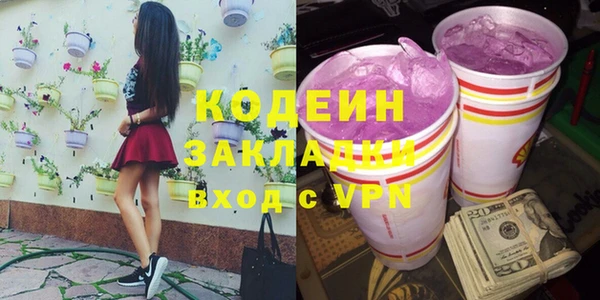шишки Арсеньев
