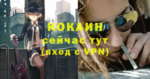 шишки Арсеньев