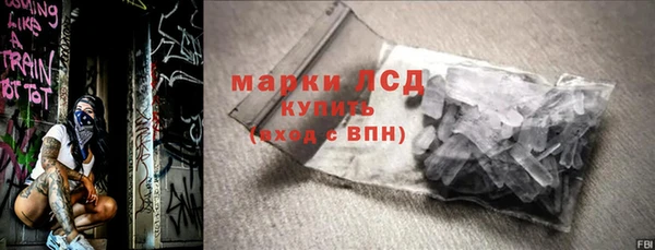 шишки Арсеньев