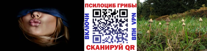Псилоцибиновые грибы MAGIC MUSHROOMS  купить  цена  Осинники 